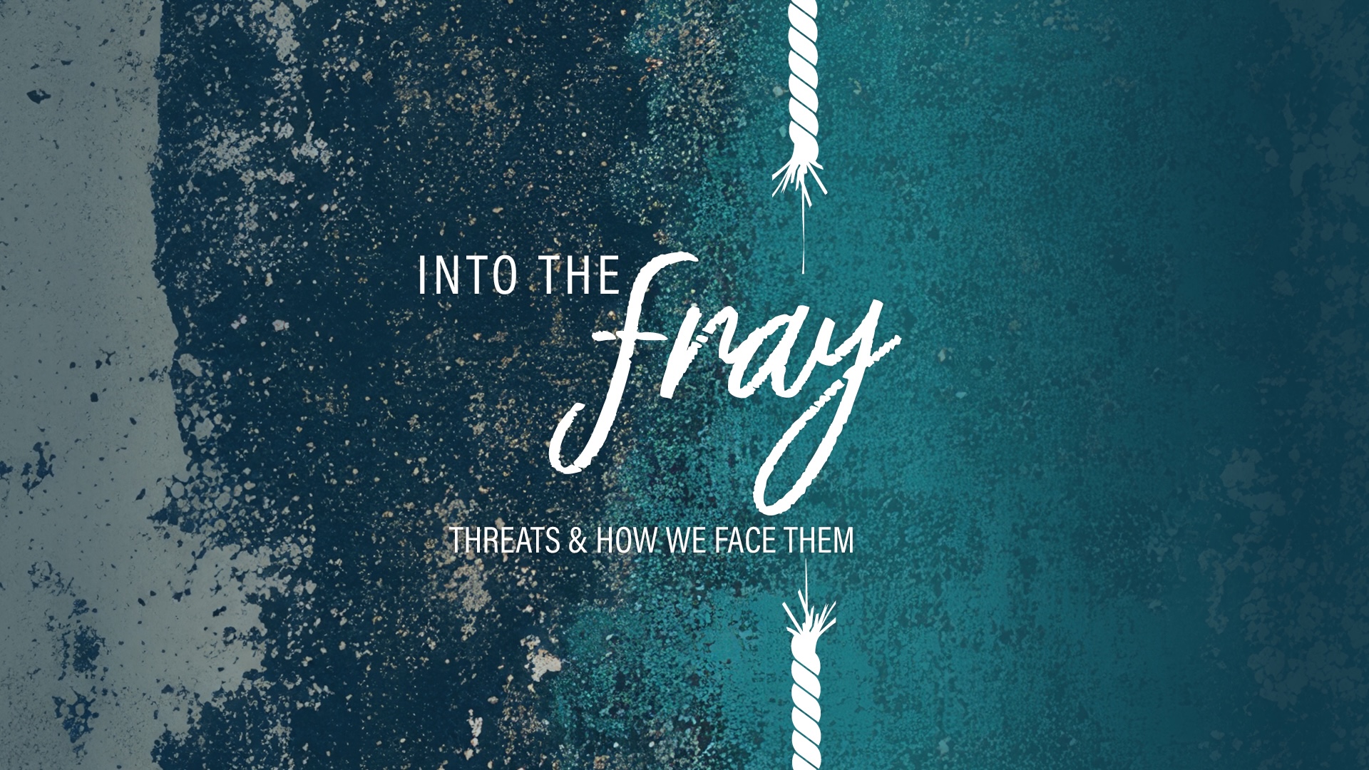 Into The Fray