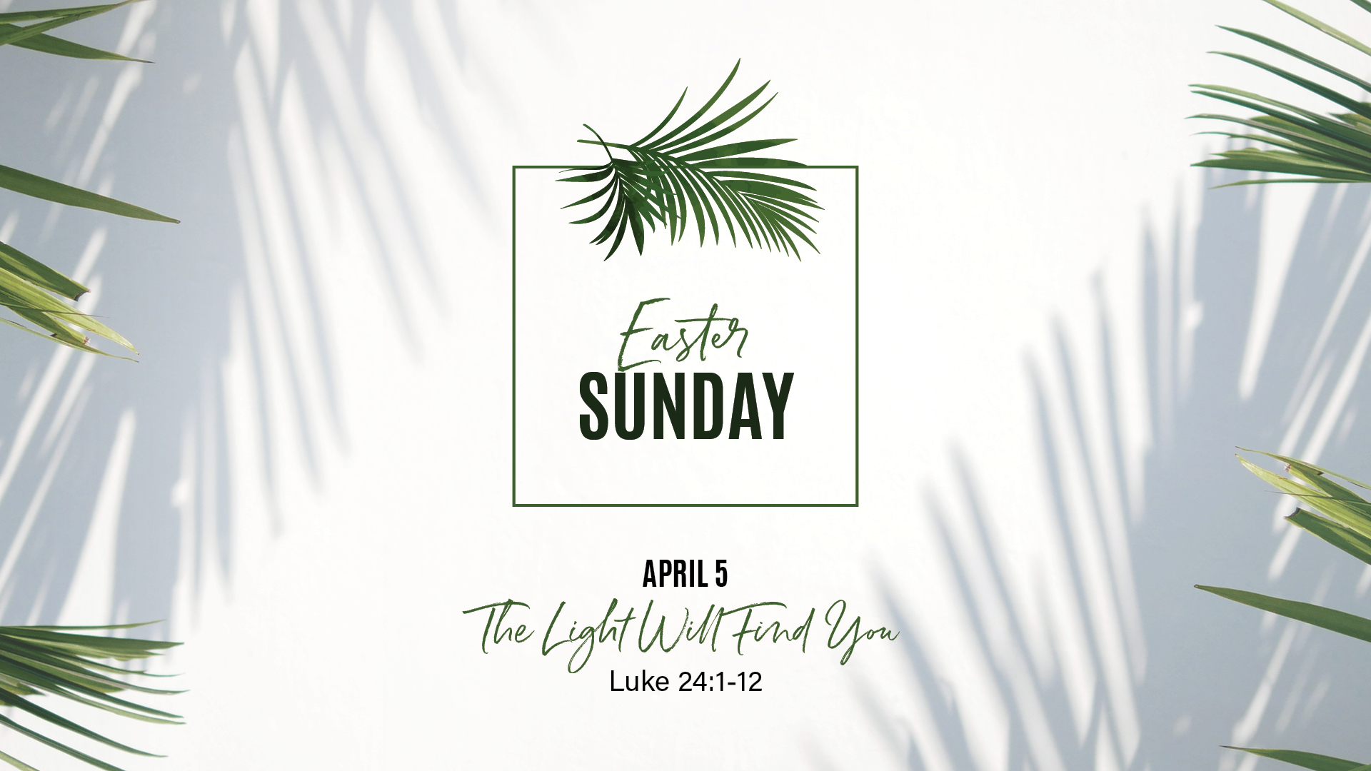 The Light Will Find You