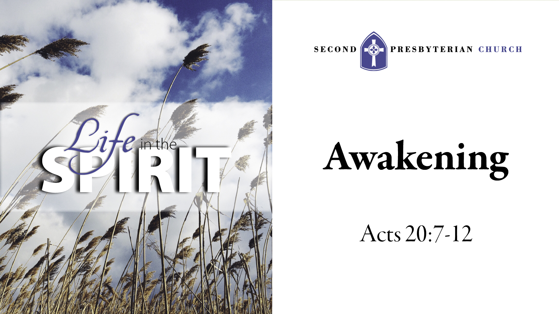 Life in the Spirit-Awakening